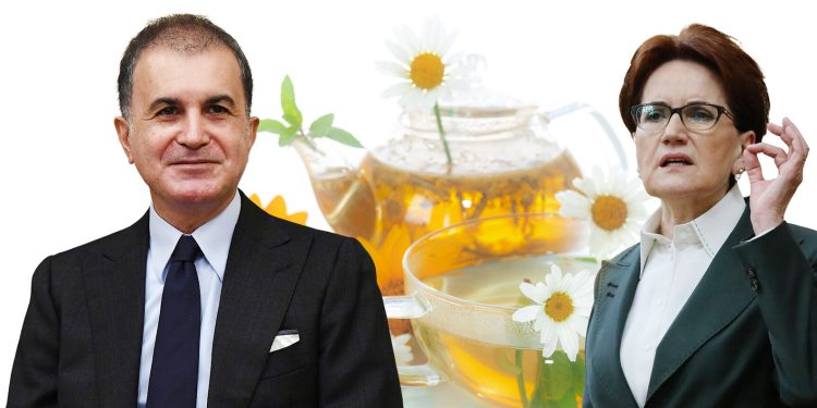 AKP Sözcüsü, Akşener’in Erdoğan’a ‘papatya çayı iç’ önerisini ‘saldırgan’ buldu