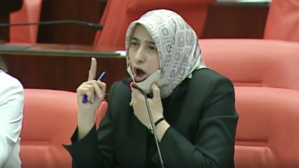 AKP’li Özlem Zengin hedefte: ‘Aday olursa oy vermem’