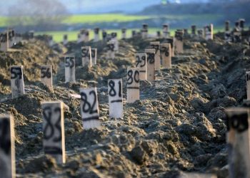 Adli tıp uzmanı: 5 bin kişi kimliksiz defnedildi