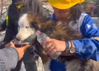 Aleks, 23 gün sonra enkazdan canlı çıkarıldı