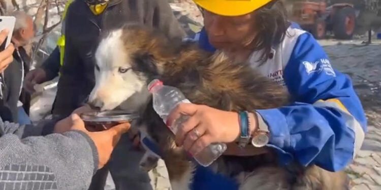 Aleks, 23 gün sonra enkazdan canlı çıkarıldı