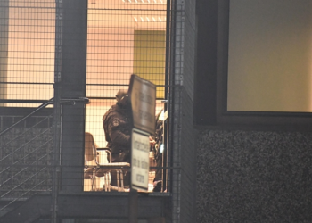 Almanya’daki kilise saldırganının kimliği belli oldu