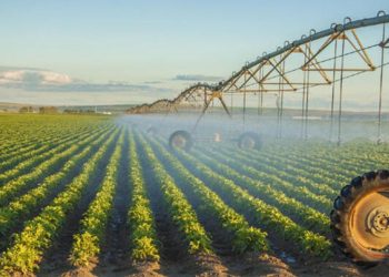 BM: Depremler Türkiye'nin tarım üretiminin en az beşte birine zarar verdi