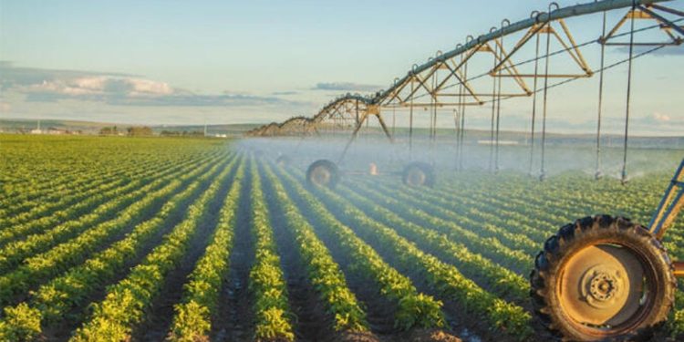 BM: Depremler Türkiye'nin tarım üretiminin en az beşte birine zarar verdi