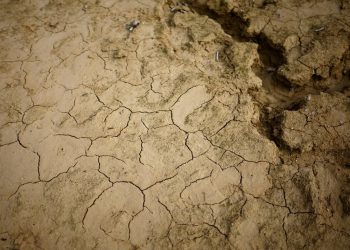 BM: Dünyadaki su kaynakları vampirce tüketiliyor