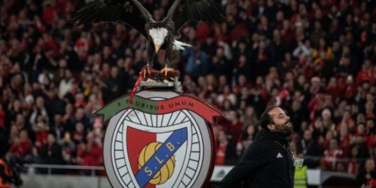 Benfica'ya şike ve teşvik soruşturması