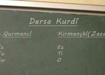Bu yıl 50 Kürtçe öğretmeni atanacak