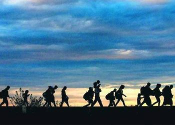 Bu yıl Amerika kıtasını geçmeye çalışan bin 433 düzensiz göçmen öldü