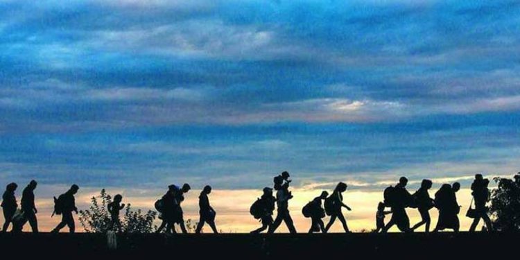 Bu yıl Amerika kıtasını geçmeye çalışan bin 433 düzensiz göçmen öldü