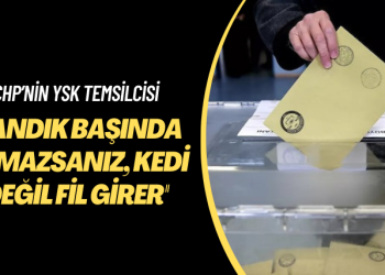 CHP’nin YSK temsilcisi: Sandık başında olmazsanız, kedi değil fil girer