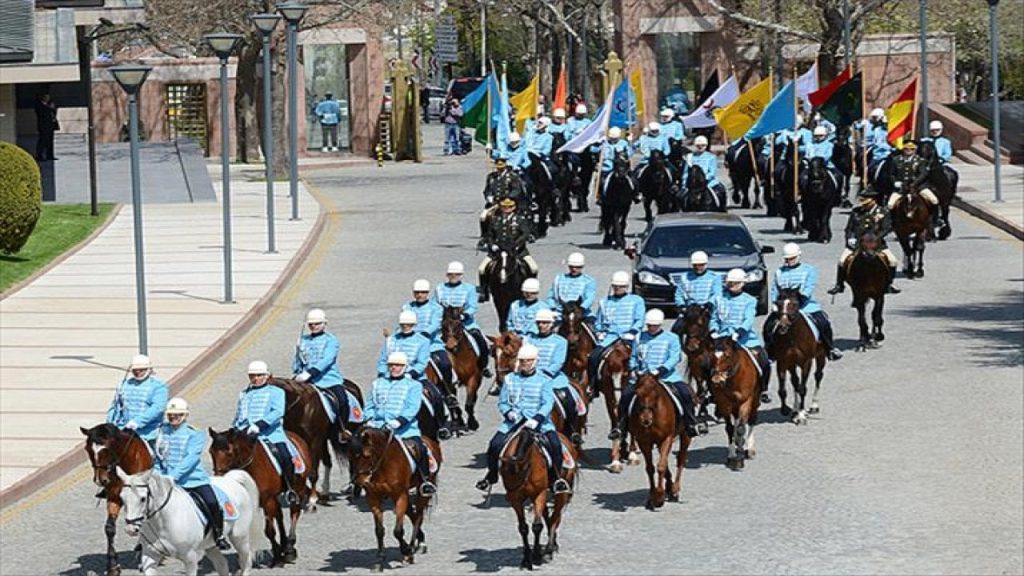 'Cumhurbaşkanlığı Hollanda'dan her biri 1 milyon 400 bin lira olan çok sayıda at aldı'