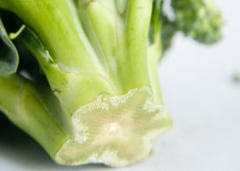 Damarları yenileme etkisi kanıtlandı. Bir iki tanesi bile kalıntıları siliyor