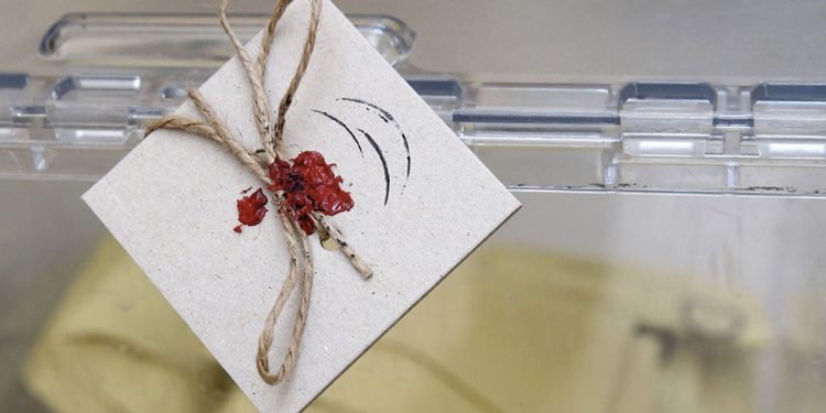 Depremde kaybolan vatandaşların seçmen kaydı çıktı