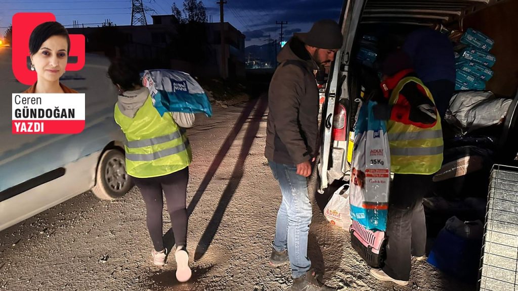 Depremzede hayvanları sahiplendirmeye çalışıyor