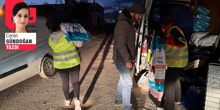 Depremzede hayvanları sahiplendirmeye çalışıyor