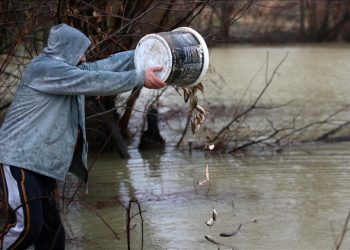 Kahramanmaraş merkezli 6 Şubat'taki depremlerin etkilediği Malatya'nın Akçadağ ilçesindeki depremzedeler, yoğun yağışlarda taşan göletten sürüklenen balıkların yaşaması için mücadele verdi.