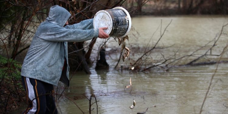 Kahramanmaraş merkezli 6 Şubat'taki depremlerin etkilediği Malatya'nın Akçadağ ilçesindeki depremzedeler, yoğun yağışlarda taşan göletten sürüklenen balıkların yaşaması için mücadele verdi.