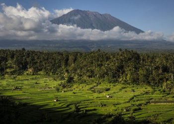 Endonezya hükümeti, Bali adasındaki Agung Dağı'nda belden aşağısı çıplak şekilde çektiği fotoğrafı Instagram'da paylaşan Yuri isimli Rus bir turist hakkında sınır dışı etme kararı aldı. Soyadı açıklanmayan Yuri'nin, dağa çıkarken gerekli kaydı da yaptırmadığı ortaya çıktı.