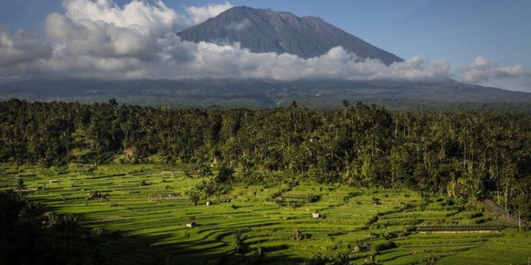 Endonezya hükümeti, Bali adasındaki Agung Dağı'nda belden aşağısı çıplak şekilde çektiği fotoğrafı Instagram'da paylaşan Yuri isimli Rus bir turist hakkında sınır dışı etme kararı aldı. Soyadı açıklanmayan Yuri'nin, dağa çıkarken gerekli kaydı da yaptırmadığı ortaya çıktı.