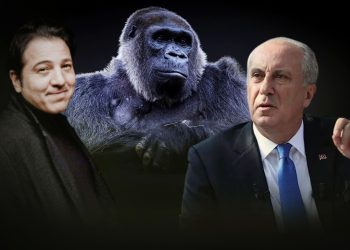 Fazıl Say’dan İnce’ye: Hayvanat bahçesindeki gorilin şartları düzelsin diye 130 bin imza var