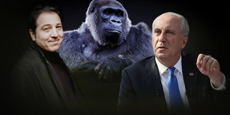 Fazıl Say’dan İnce’ye: Hayvanat bahçesindeki gorilin şartları düzelsin diye 130 bin imza var