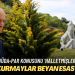 HÜDA-PAR konusunu ‘halletmişler’: MHP’li kurmaylar ‘beyan esastır’ dedi