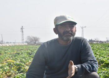 Hatay'da hal açılamadı, sebze tarlada kaldı