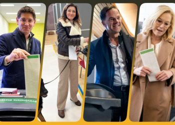 Hollanda’da 13 milyon seçmen Eyalet Meclisi için sandık başında