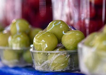 İlk hasat: Eriğin tanesi 10, kilosu bin lira