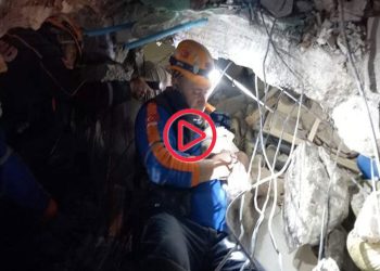 Kabındaki mama ile 25 gün hayatta kalan 'Fıstık', kurtarıldı