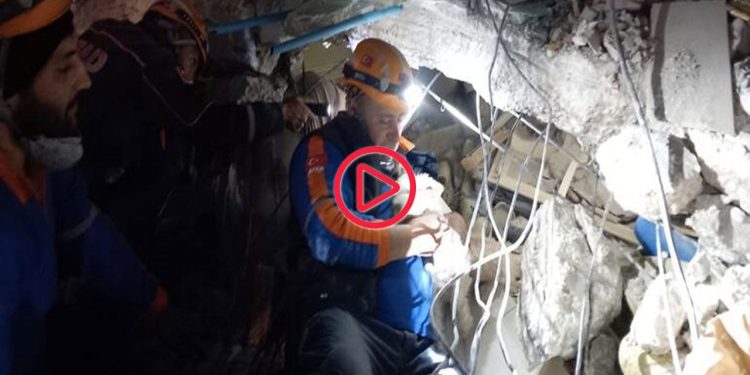 Kabındaki mama ile 25 gün hayatta kalan 'Fıstık', kurtarıldı