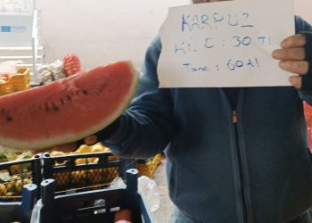 Karpuzun dilimi 60 TL