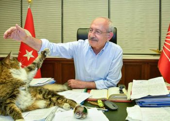 Kılıçdaroğlu'ndan CHP'nin maskotu Şero'lu paylaşım: İktidara gelince yaş mamayı lüks olmaktan çıkaracağım