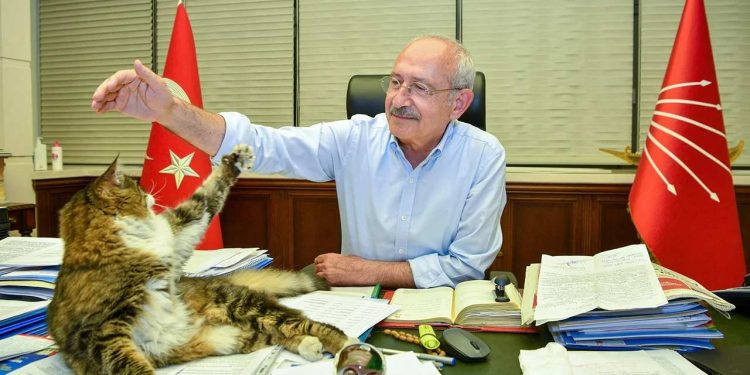 Kılıçdaroğlu'ndan CHP'nin maskotu Şero'lu paylaşım: İktidara gelince yaş mamayı lüks olmaktan çıkaracağım