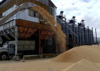 Birleşmiş Milletler Gıda ve Tarım Örgütü’nün (FAO) derlediği küresel gıda fiyatları endeksindeki gerileme 11'inci aya taşındı. Endeks, şubatta 129,8'e geriledi.