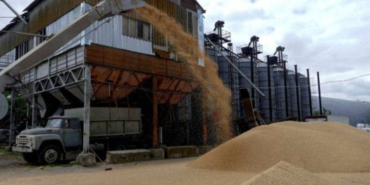 Birleşmiş Milletler Gıda ve Tarım Örgütü’nün (FAO) derlediği küresel gıda fiyatları endeksindeki gerileme 11'inci aya taşındı. Endeks, şubatta 129,8'e geriledi.