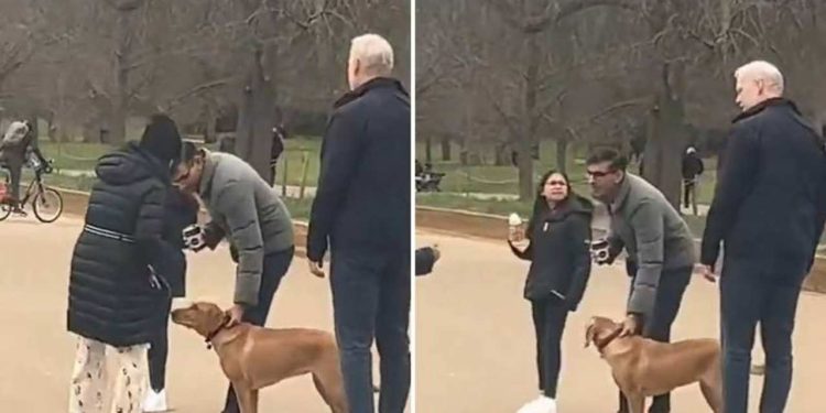 Londra polisi, İngiltere Başbakanı Sunak'ı tasmasız köpek gezdirdiği için uyardı