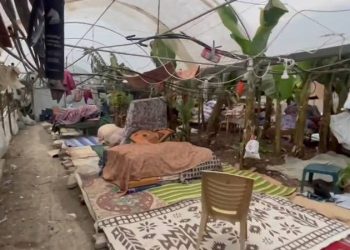 Mahsun Kırmızıgül: Tuvaletleri, banyoları, çadırları yok; muz serasında yaşamaya çalışıyorlar