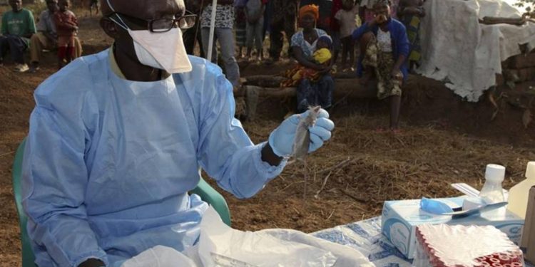 Nijerya'da Lassa ateşinden ölümler artıyor: Bu yıl 102 kişi hayatını kaybetti