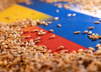 Reuters'a konuşan Türk diplomat: Tahıl anlaşmasının yenilenmesi için Rusya'nın talepleri karşılanmadı