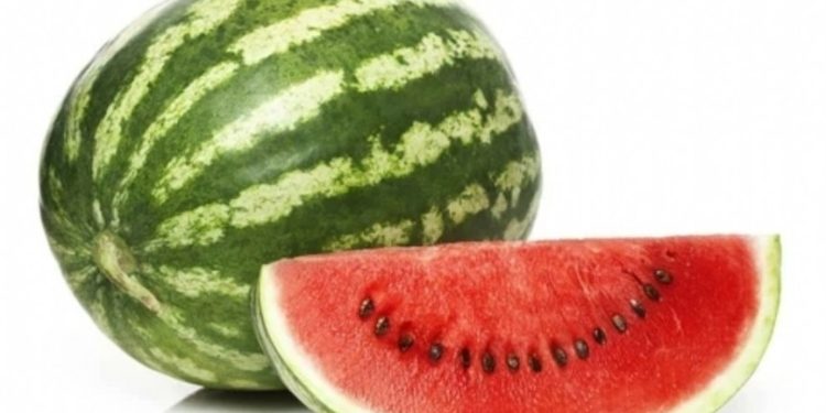 Şahan Gökbakar’dan ‘karpuz’lu YSK eleştirisi: Mango olduğuna oy birliğiyle karar verdik