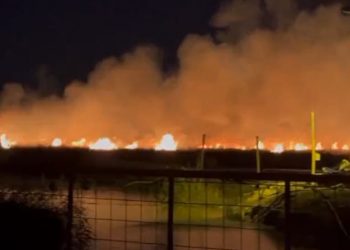 Silifke’deki kuş cenneti alev alev yanıyor; yetkililer müdahale yerine izliyor
