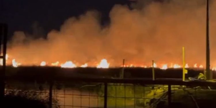 Silifke’deki kuş cenneti alev alev yanıyor; yetkililer müdahale yerine izliyor