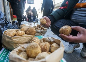 Suriye İnsan Hakları Gözlemevi, ülkenin doğusundaki Deyrizor vilayetinde mantar toplayan en az 8 sivilin mayın patlaması sonucu hayatını kaybettiğini, 35'den fazla kişinin de yaralandığını duyurdu.
