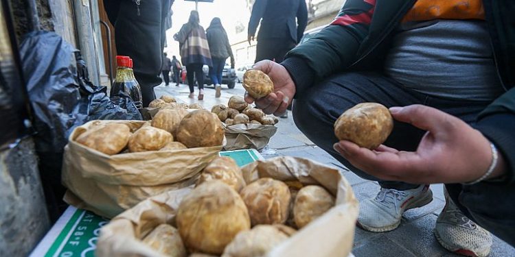 Suriye İnsan Hakları Gözlemevi, ülkenin doğusundaki Deyrizor vilayetinde mantar toplayan en az 8 sivilin mayın patlaması sonucu hayatını kaybettiğini, 35'den fazla kişinin de yaralandığını duyurdu.