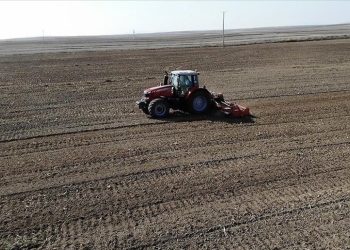 Tarımsal girdi enflasyonu yüzde 96'ya yükseldi