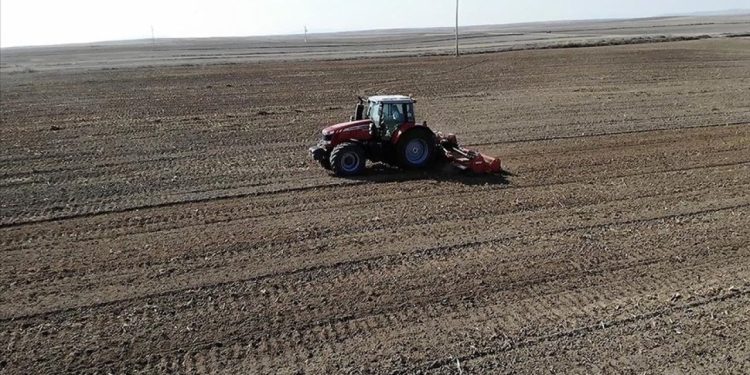 Tarımsal girdi enflasyonu yüzde 96'ya yükseldi