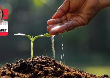 Toprağa yakın kuracağız düzenimizi