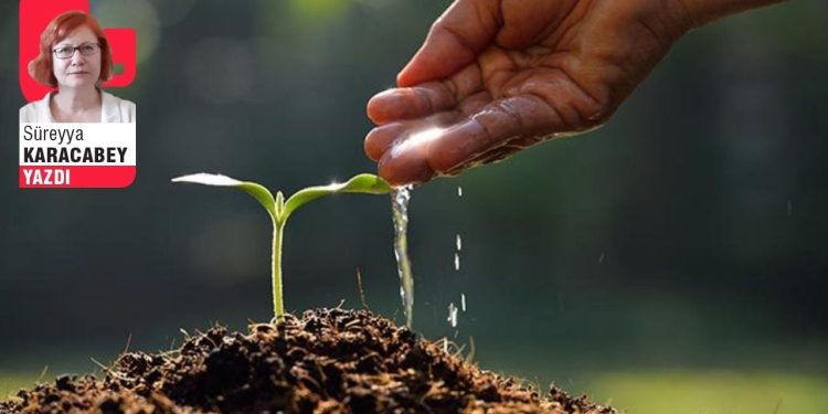 Toprağa yakın kuracağız düzenimizi