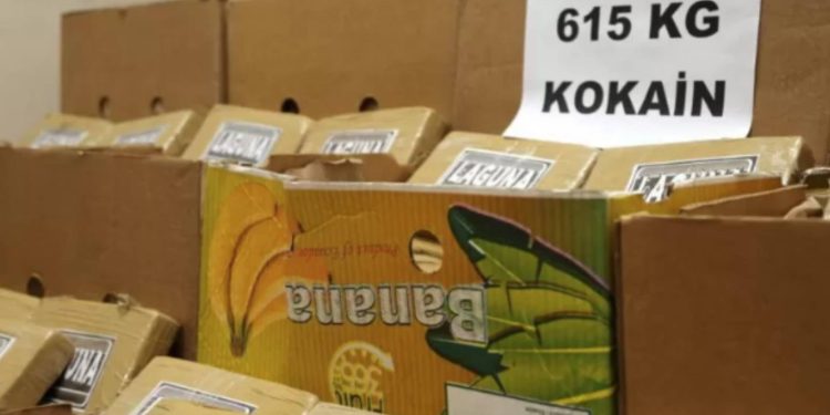 Türkiye'deki kokain yakalamaları yedi yılda yedi kat arttı